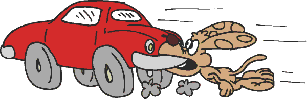 Dog Chases Car.  Dog Catches Car.  Now What?